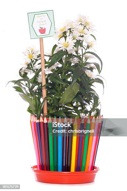 Flowers For A Teacher Gift Stock Photo - Download Image Now - Clipping Path, Cut Out, Education