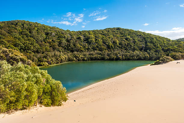 Fraser Island, Lake Wabby, Queensland, Australia Fraser Island, Lake Wabby, Queensland, Australia fraser island stock pictures, royalty-free photos & images
