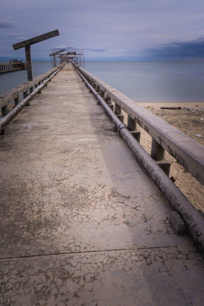 istock Walkways created  to preserve native landscapes and native species 1815776461