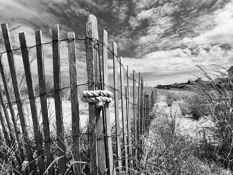 Close up of White Fence in Hay Field.  Captured in Goulais River, Northern Ontario.