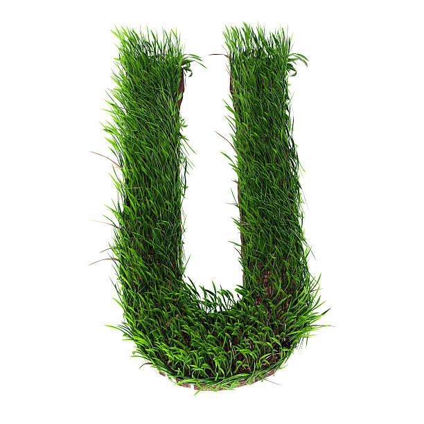 Grass letter A stock photo