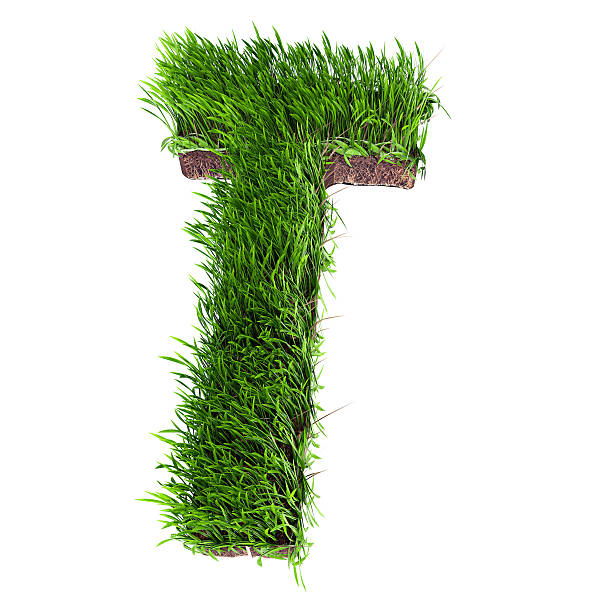 Grass letter T stock photo