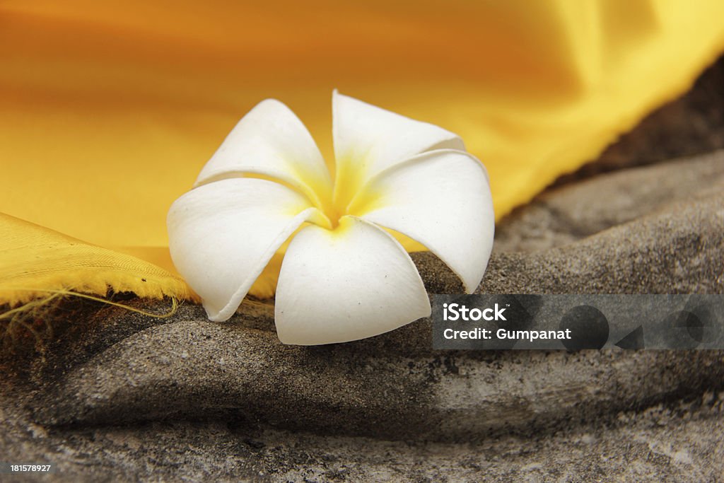 plumeria flower rested on a Buddha statue's hand Asia Stock Photo