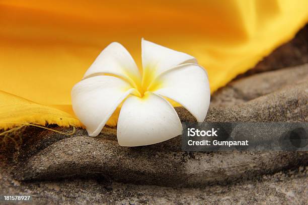 Plumeria Flower Rested On A Buddha Statues Hand Stock Photo - Download Image Now - Asia, Ayuthaya, Backgrounds