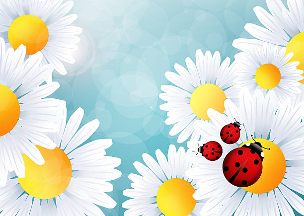 Ladybug mom ladybug on daisies ladybug frame border clip art stock illustrations