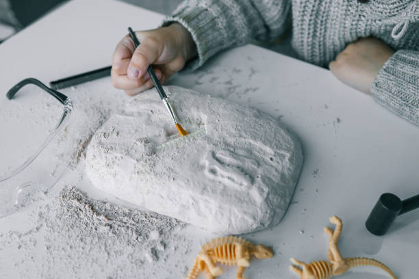 istock An interesting activity for children: excavating dinosaurs, 1815824336