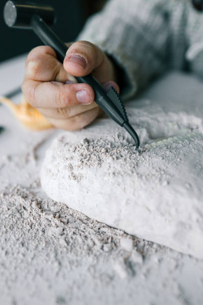 istock An interesting activity for children: excavating dinosaurs, 1815824342