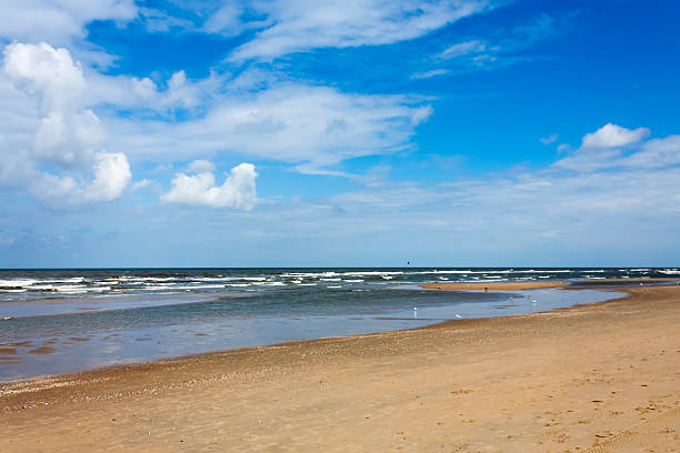 istock blue jellyfish on the sandy beach 181584836