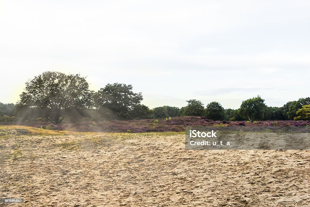 Paisaje holandés en la noche, sol - Foto de stock de Aire libre libre de derechos