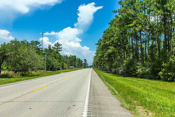 istock empty highway in america with trees and blue sky 181585496