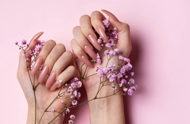 istock Female hands with beautiful manicure on pink background 1815876198