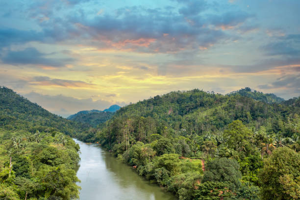 istock aerial view of lush greenery hugging the tranquil river. 1815880312