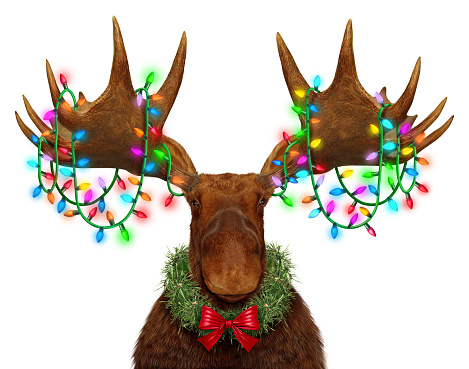 Funny Holiday Moose antlers With festive Lights as a whimsical fun northern forest animal decorated with bright glowing traditional Christmas light ornaments as a Winter celebration.