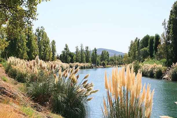 istock Nature in southern france 181588794