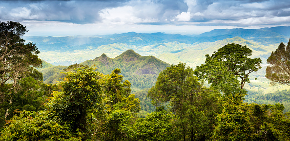 Natural scenery of tropical forest in the sunny day with mountain range at Doi Luang Chiang Dao, Chiang Mai, Thailand