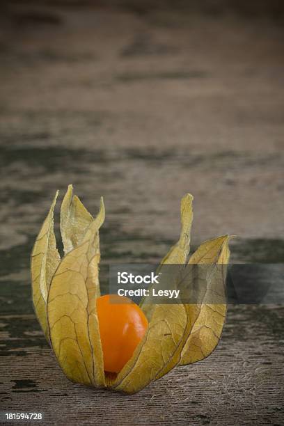 Quatro Physalis No Antigo Fundo De Madeira - Fotografias de stock e mais imagens de Cabeça de Flor - Cabeça de Flor, Camapu, Colorido