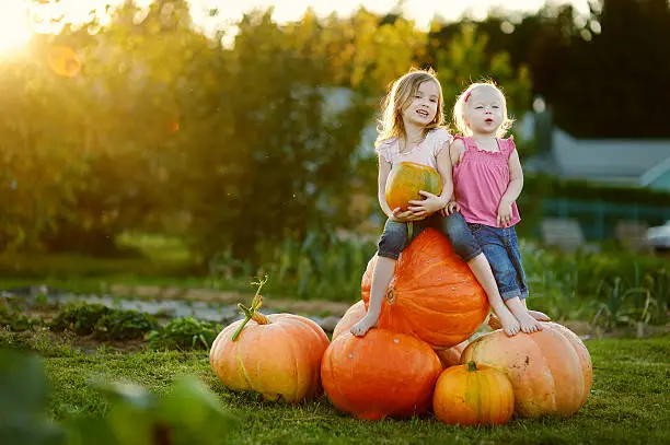 Photo of Two young sisters sitting on pile of large pumpkins