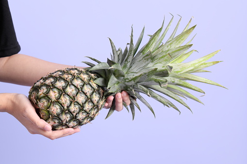 The Asian woman hand holding pineapple in the purple background.