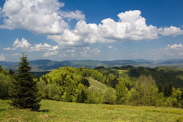 istock Mountain Landscape in May. Beskid, Poland. 181595371