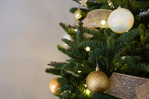 Christmas Baubles with young Spruce tree branch. This file is cleaned, retouched and contains 