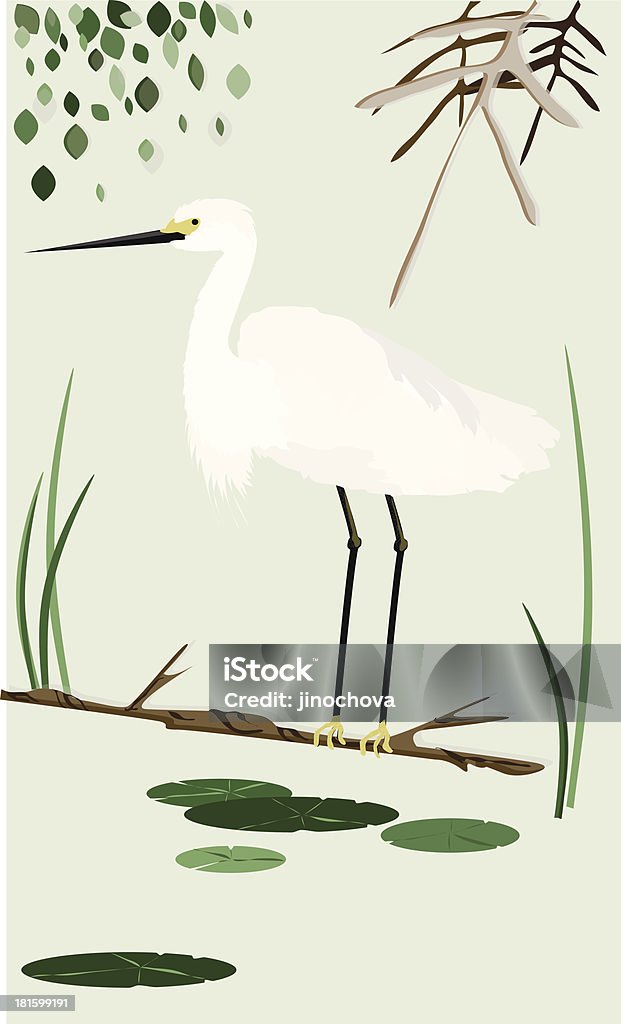 White heron - Lizenzfrei Costa Rica Vektorgrafik