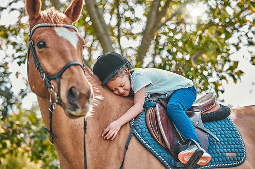 Love, nature and child hugging a horse in a forest riding for entertainment, fun or hobby activity. Adventure, animal and young equestrian girl kid embracing her stallion pet outdoor in the woods.