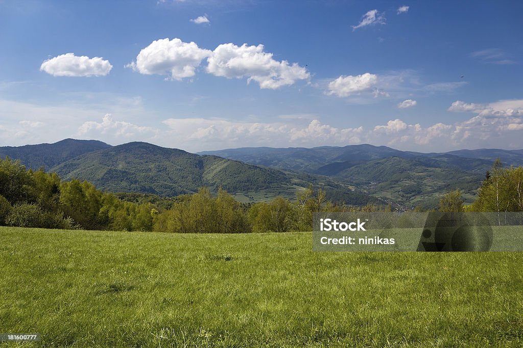 Paysage de montagne au mois de mai.  Beskides, Pologne. - Photo de Beskid Mountains libre de droits