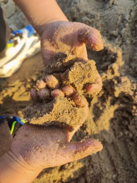 istock The children are playing with sand 1816015169