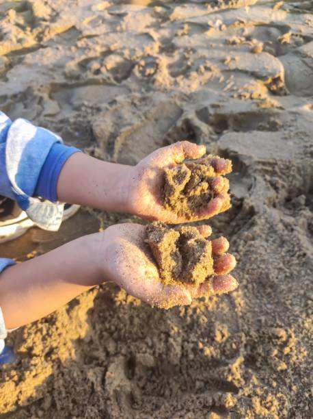 istock The children are playing with sand 1816015722