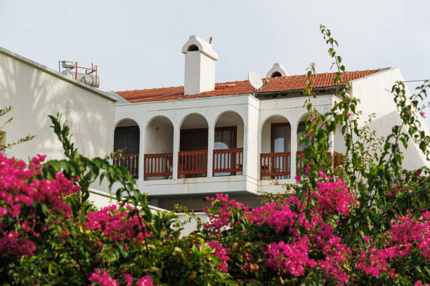 istock House behind bushes with flowers 1816017270
