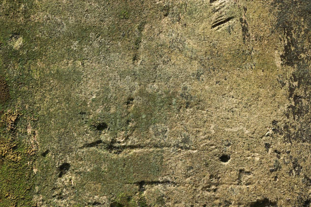 istock grunge wall, highly detailed textured background with space for your projects 1816031016