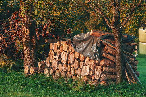 A substantial stack of neatly arranged chopped firewood in the backyard of a farm, prepared for the upcoming winter heating season. Selective focus enhances the details of the firewood pile. Selective focus.