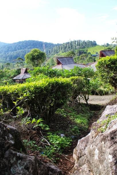 istock cottage in the mountains 1816035305