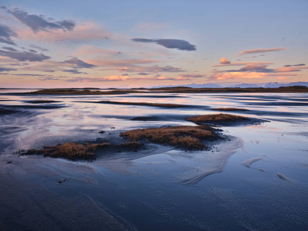 Frozen lagoon with parts of grass in Iceland. Photographed in medium format.