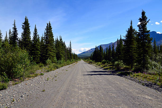 istock Wrangell-St. Elias national park 181604786