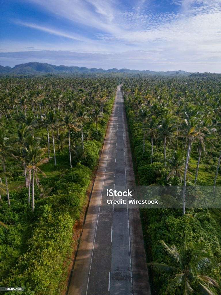 Scenic view of Coconut Road, Siargao, Philippines A scenic view of Coconut Road, Siargao, Philippines Aerial View Stock Photo