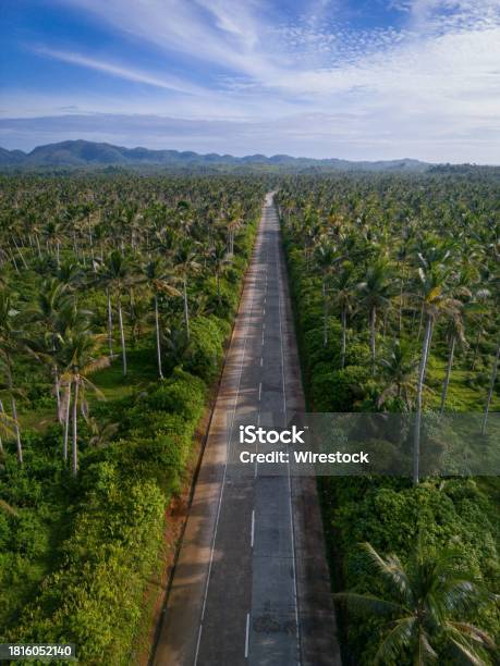 Scenic View Of Coconut Road Siargao Philippines Stock Photo - Download Image Now - Aerial View, Beach, Blue