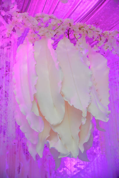 istock Large artificial flower petals hang from the ceiling 1816053819