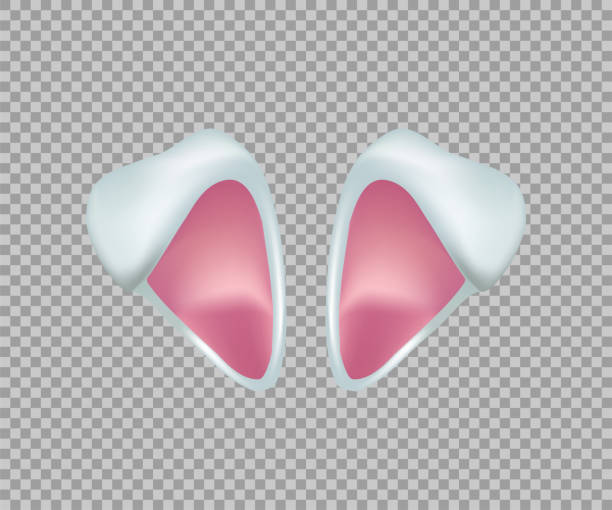 Rabbit ears realistic 3d vector illustration. Easter bunny ears kid headband, mask. Hare costume white and pink element. Photo editor, booth, video chat app isolated on transparent background Rabbit ears realistic 3d vector illustration. Easter bunny ears kid headband, mask. Hare costume white and pink element. Photo editor, booth, video chat app isolated on transparent background. bunny ear stock illustrations