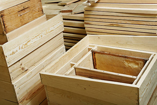 istock Project of wooden beehive. 181608980