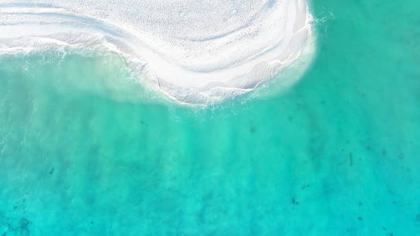 istock Beach Wave water in the Tropical summer beach with  sandy beach background 1816101393