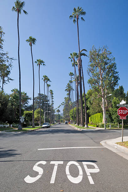Street in Beverly Hills district, Los Angeles