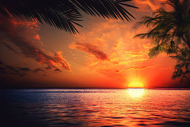 istock Sunset on the ocean, abstract environmental backgrounds 181613819