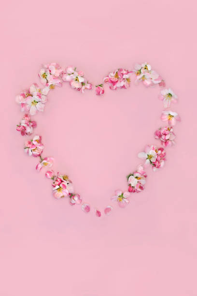 istock Heart Shaped Apple Blossom Spring Wreath 1816164587