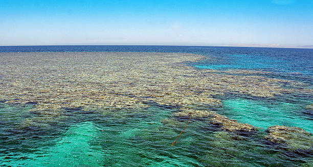 istock hurghada by the sea 181622978