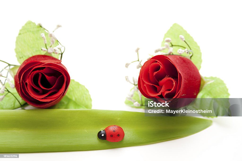 Rosas rojas con hoja y mariquita - Foto de stock de Cabeza de flor libre de derechos