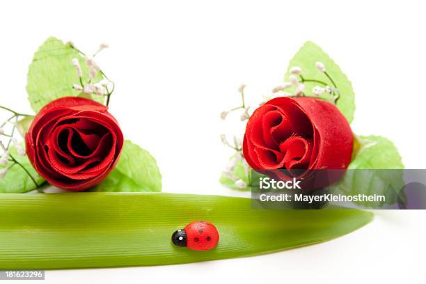 Rosas Rojas Con Hoja Y Mariquita Foto de stock y más banco de imágenes de Cabeza de flor - Cabeza de flor, Decoración - Objeto, El mundo de la naturaleza