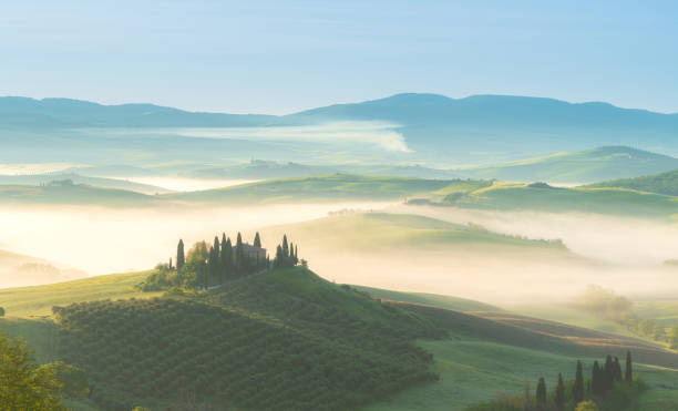 house surrounded by cypress trees among the misty morning sun-drenched hills of the val d'orcia valley at sunrise in san quirico d'orcia, tuscany, italy - val tuscany cypress tree italy imagens e fotografias de stock