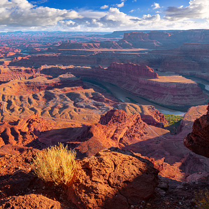 Dead Horse Point State Park near Moab, Utah at sunset