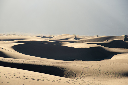 Panoramic desert dunes in shadow and light of sunrise to horizon